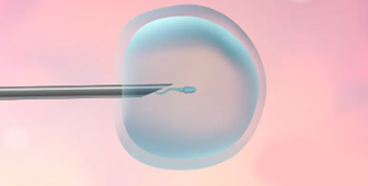 石家庄哪里有试管试管代怀（石家庄试管试管代怀费用）